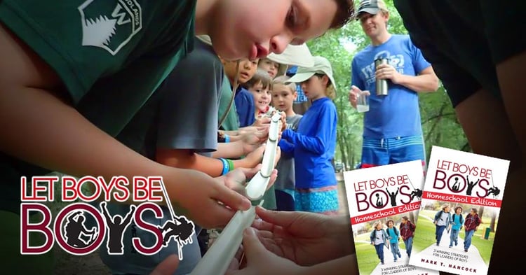 Let Boys be Boys Homeschool Edition