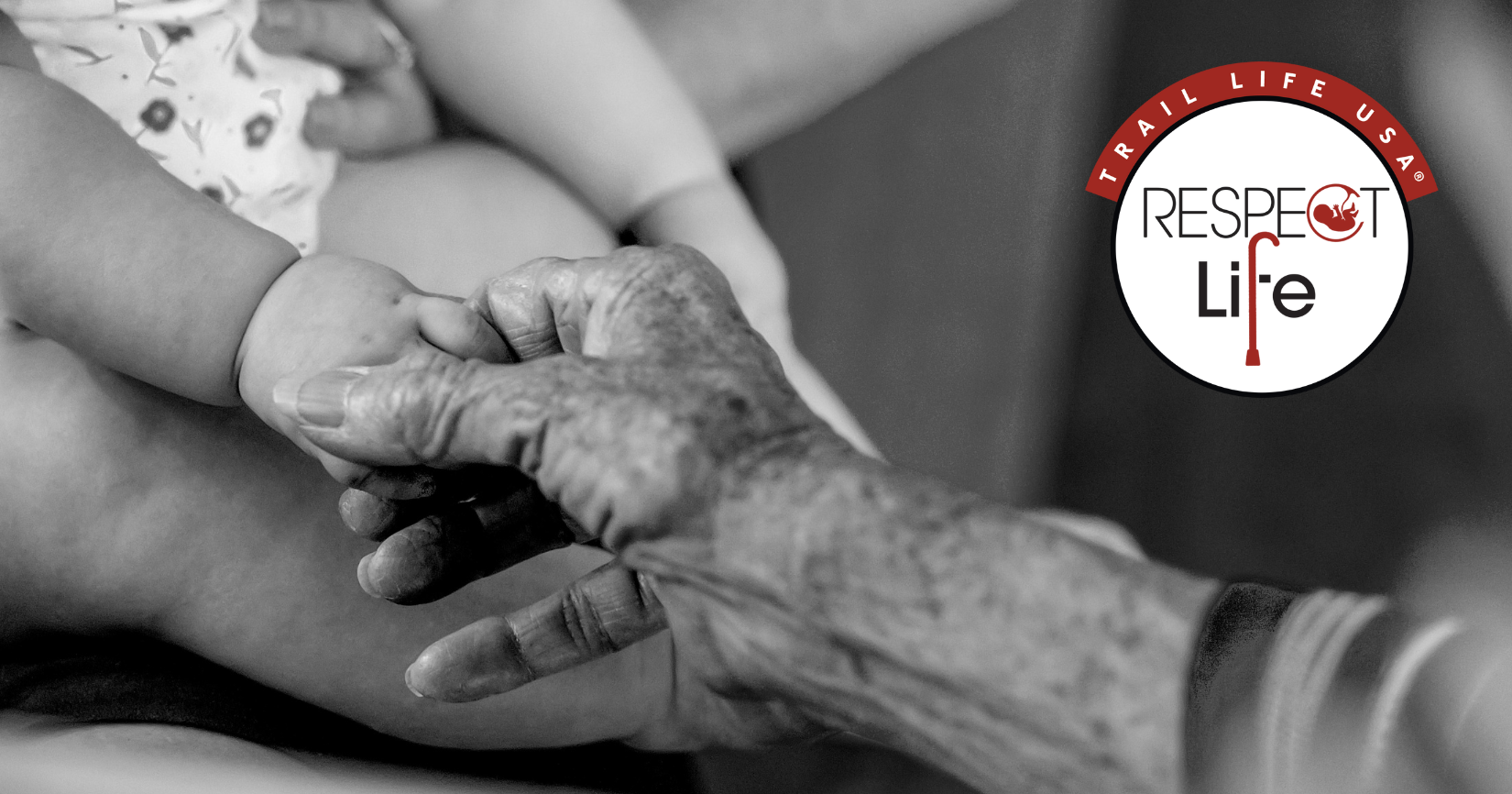 Respect for Life Is Not an Issue—It’s a Lens